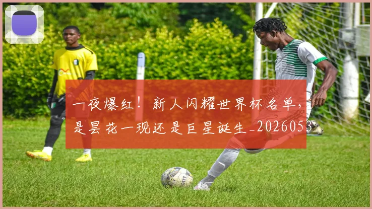 一夜爆红！新人闪耀世界杯名单，是昙花一现还是巨星诞生_20260530144152